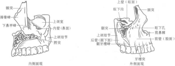 深圳维港口腔