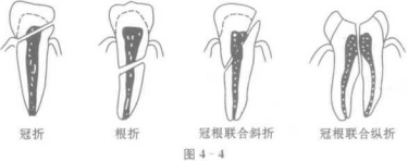 深圳维港口腔连锁