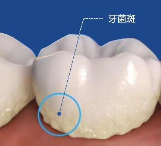 深圳维港口腔连锁