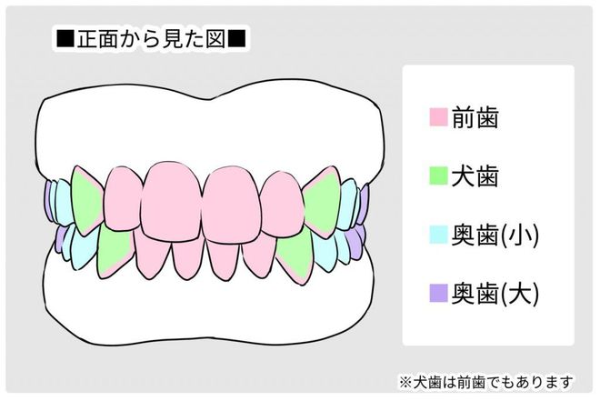 牙齒美白