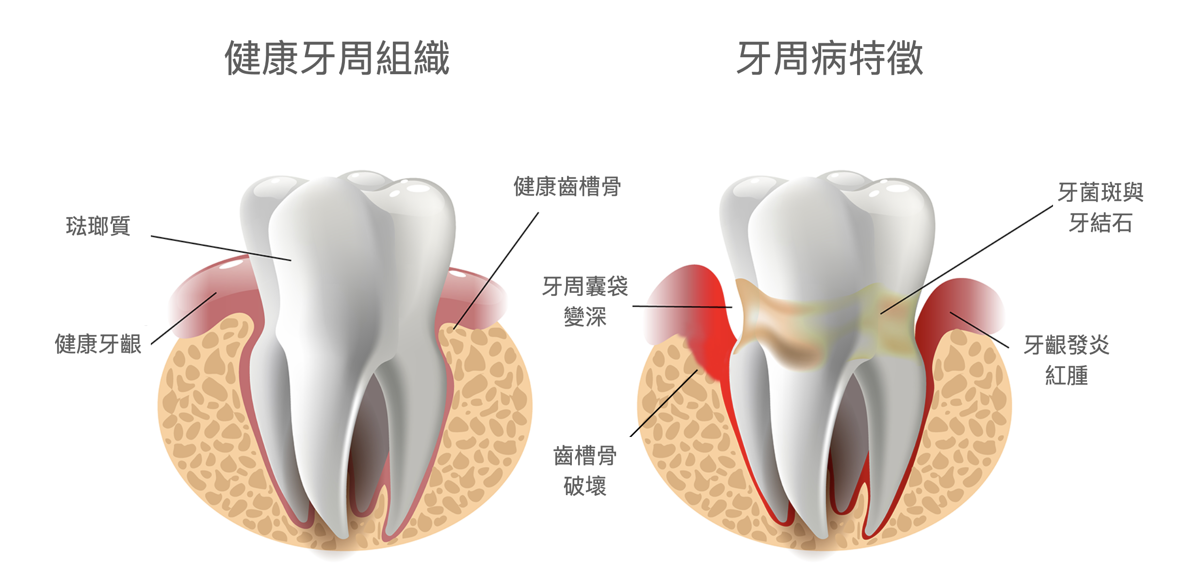維港口腔