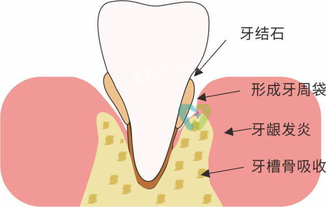 維港口腔