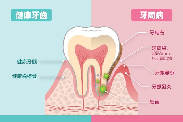 深圳維港口腔