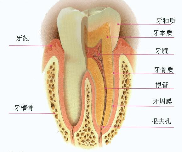 深圳牙科